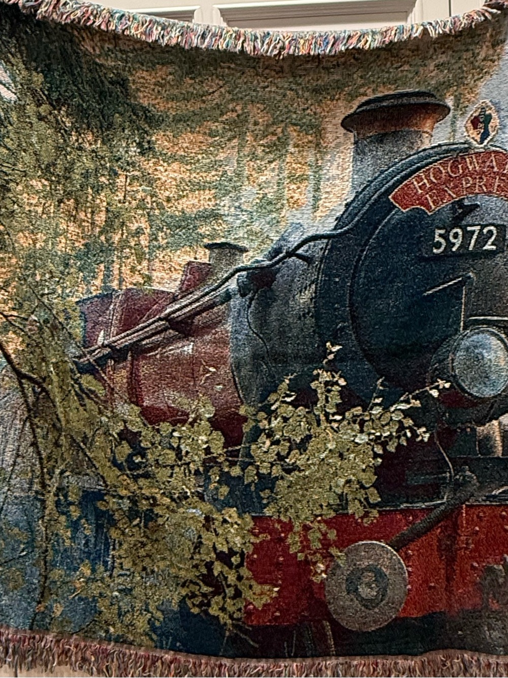 Decorative Train-Themed Throw Blanket in Red and Black
